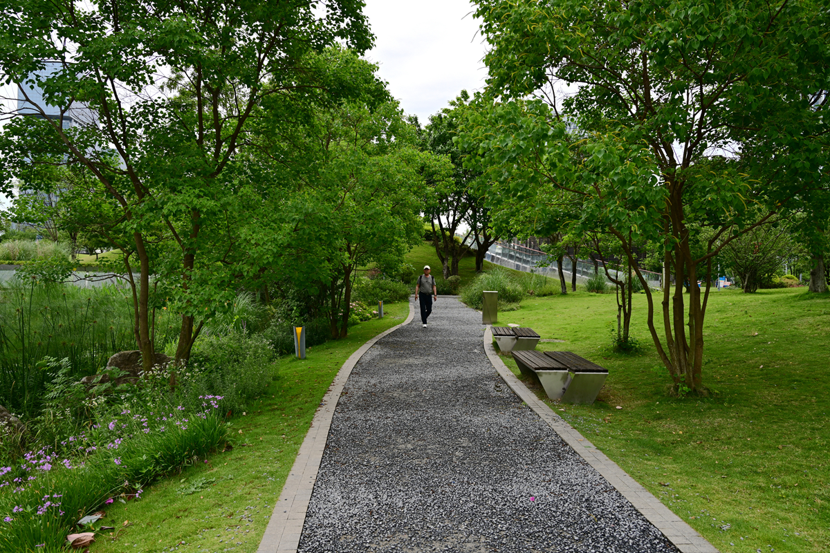 DSC_4077_����.jpg