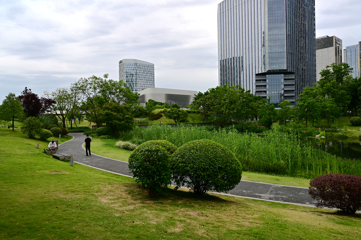 DSC_4091_����.jpg