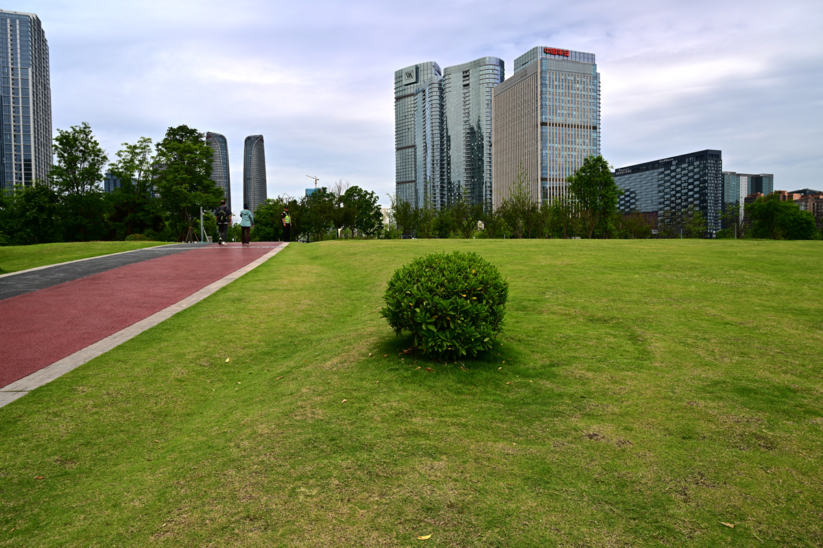 DSC_4125_����.jpg