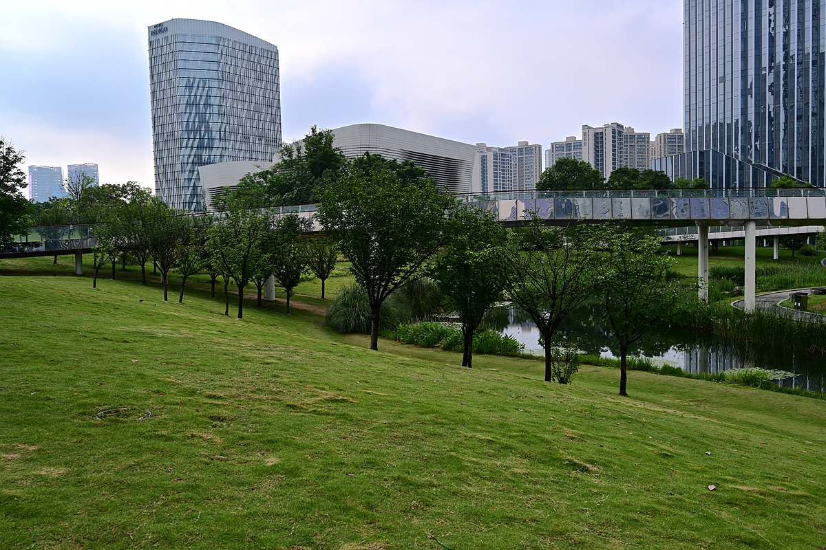 DSC_5524_����.jpg