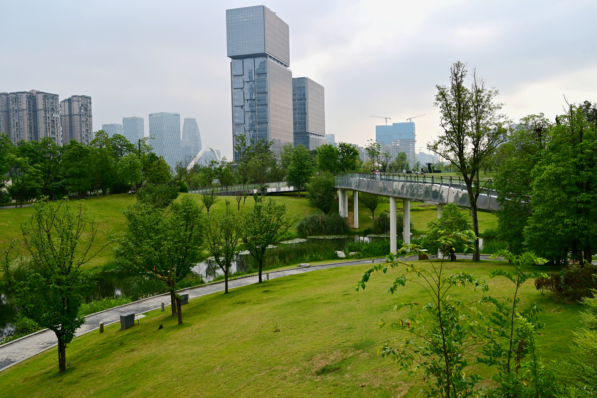 DSC_5547_����.jpg