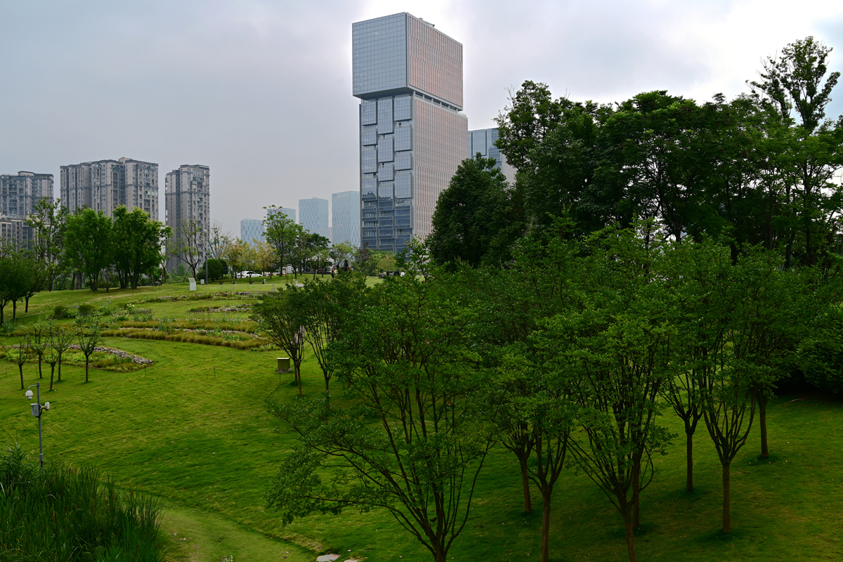 DSC_5553_����.jpg