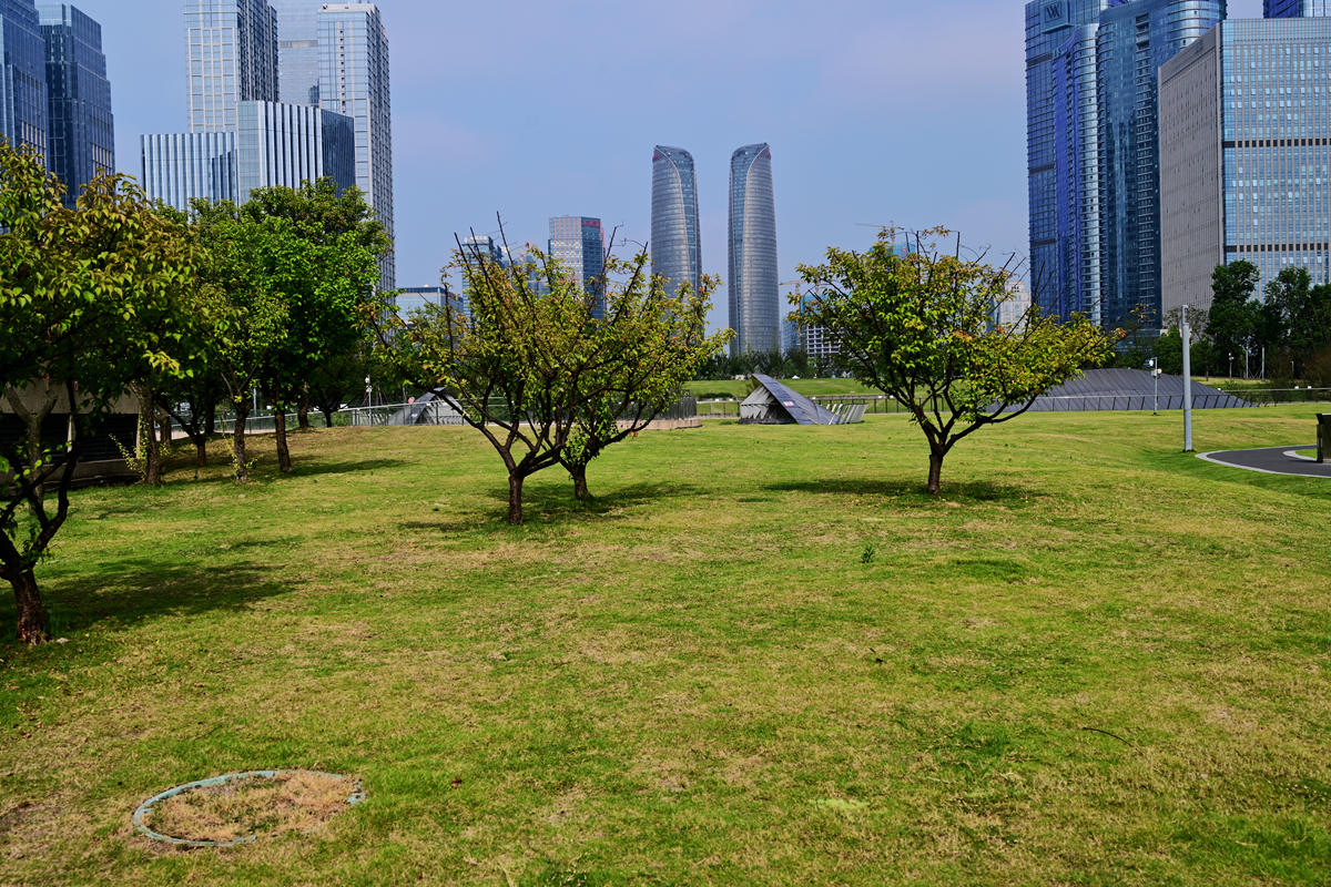 DSC_5590_����.jpg