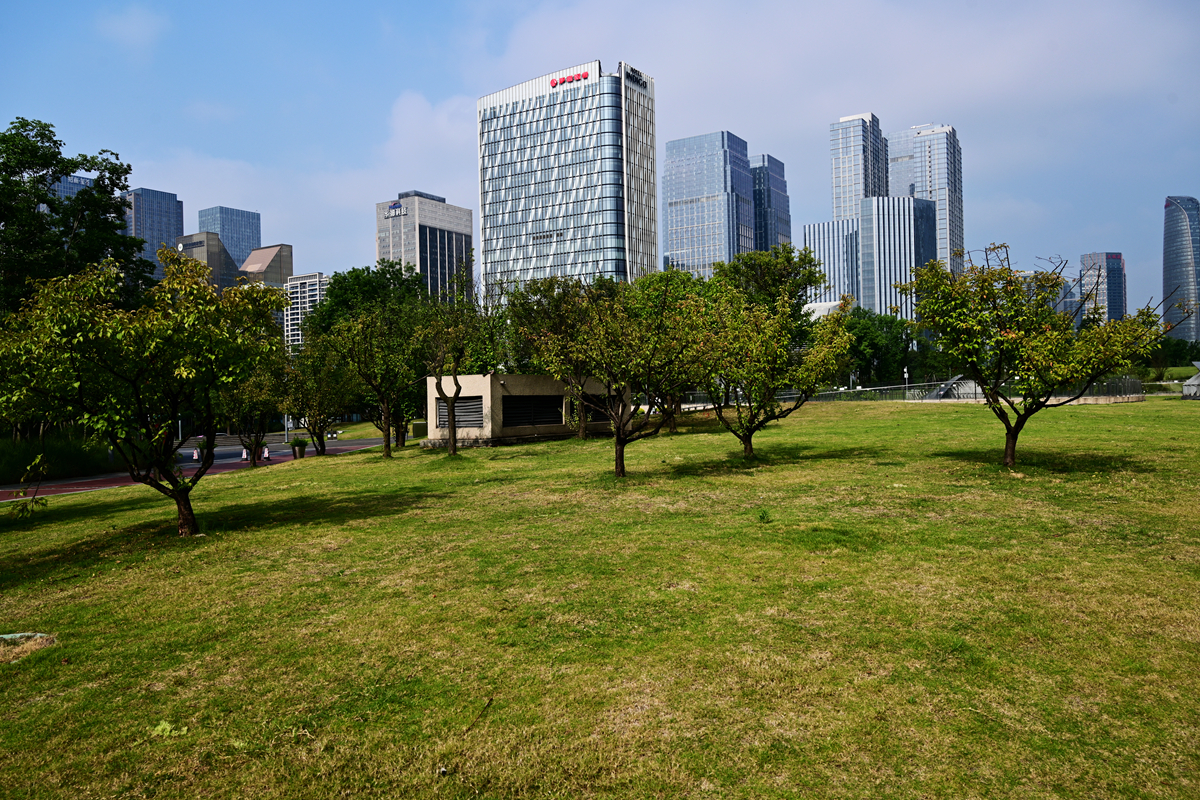 DSC_5592_����.jpg