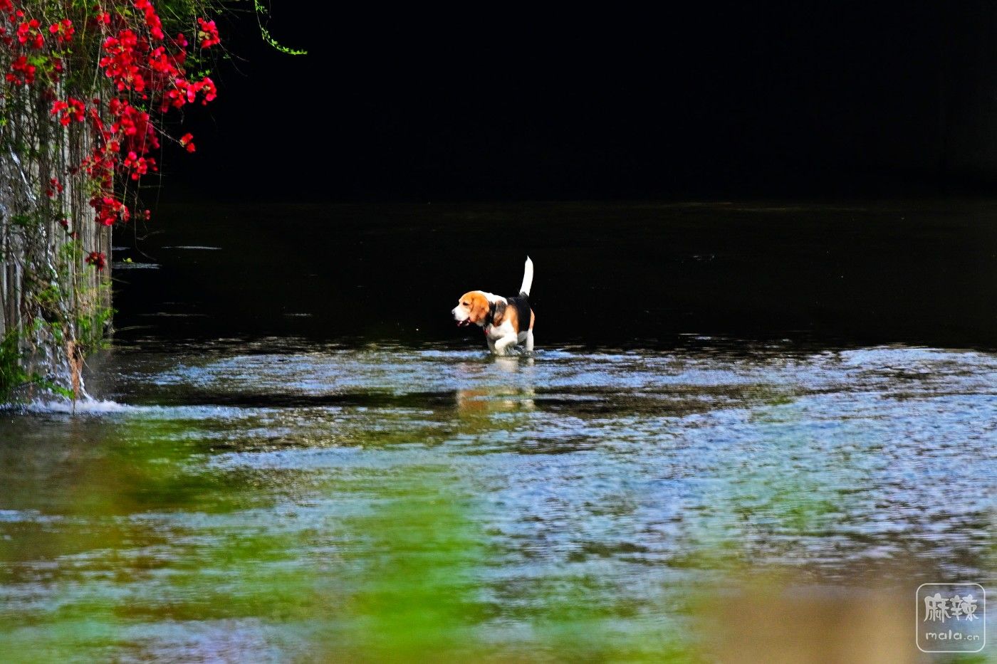 DSC_6289.JPG