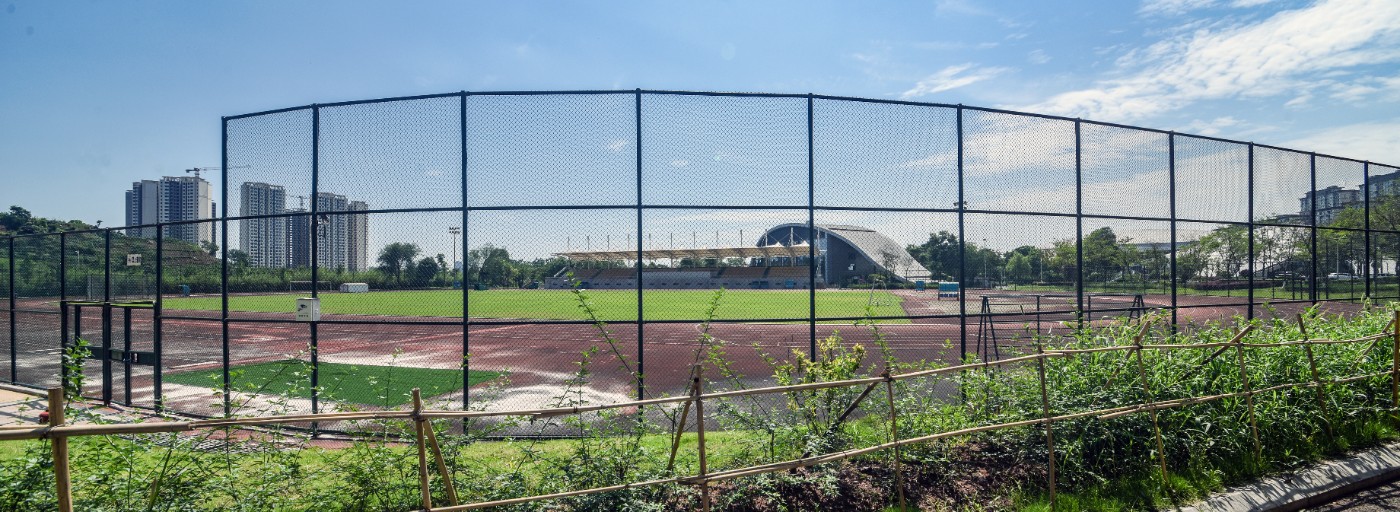 GLN_0705-1.JPG