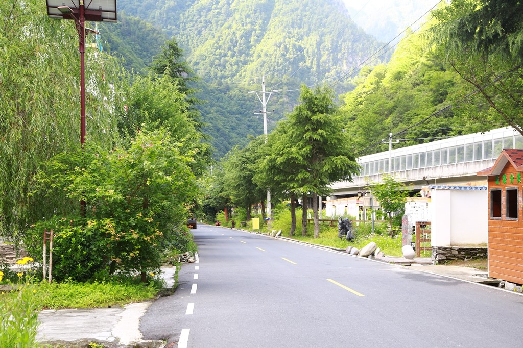 L_JY0795.JPG