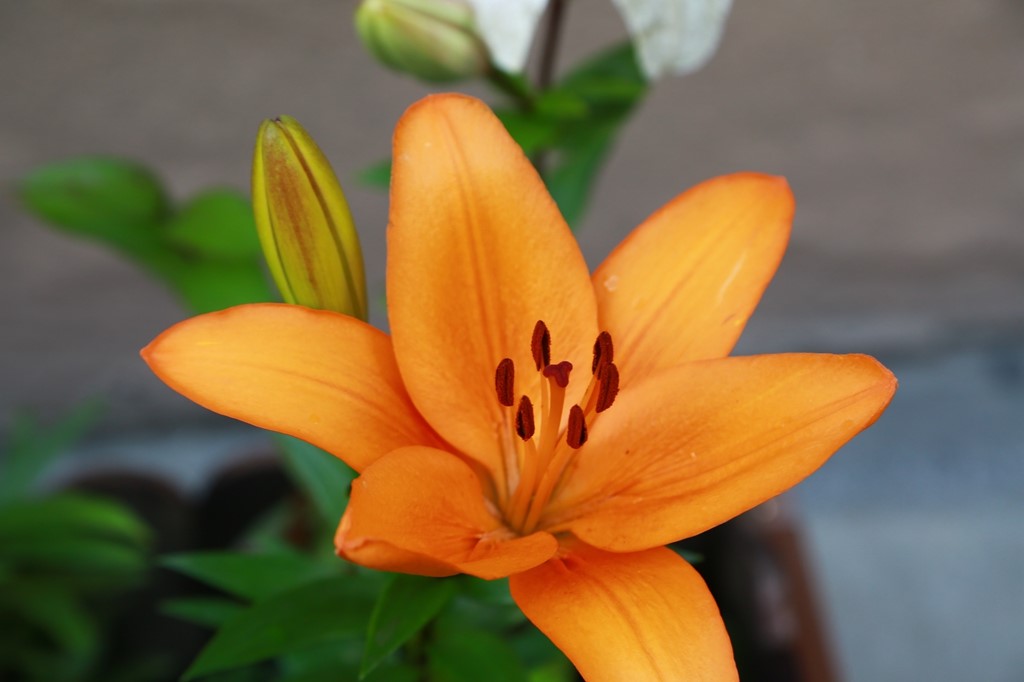 L_JY0810.JPG