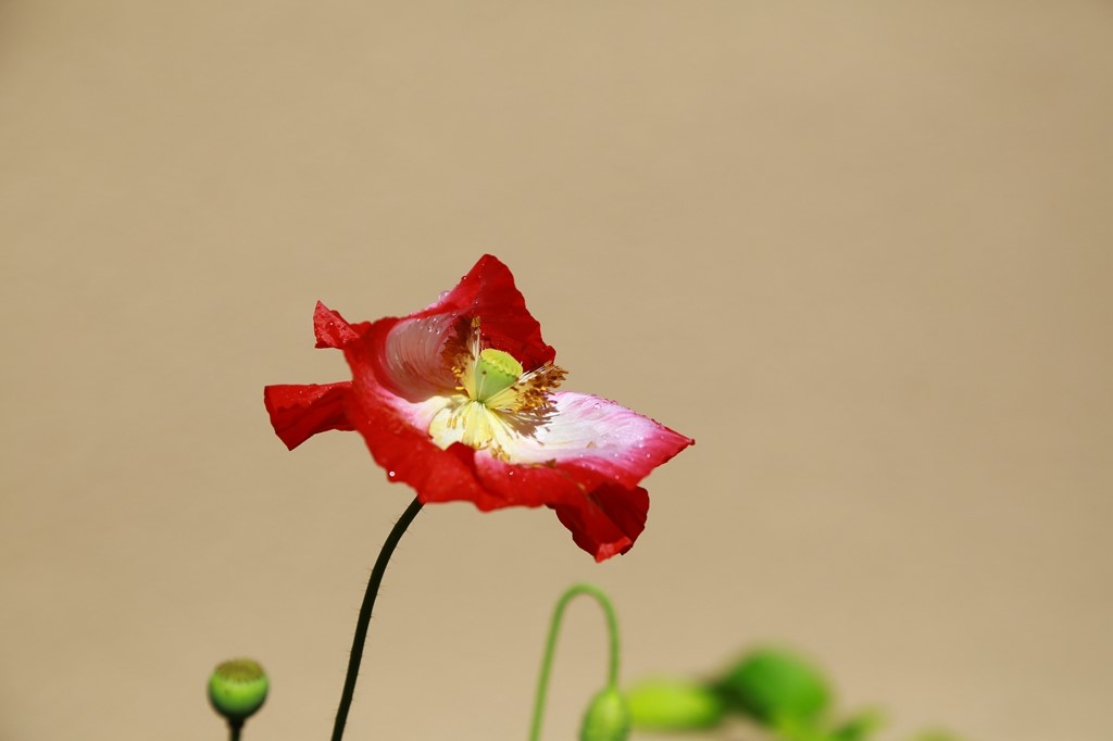 L_JY0819.JPG
