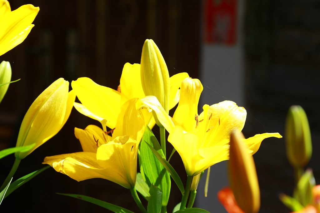 L_JY0905.JPG