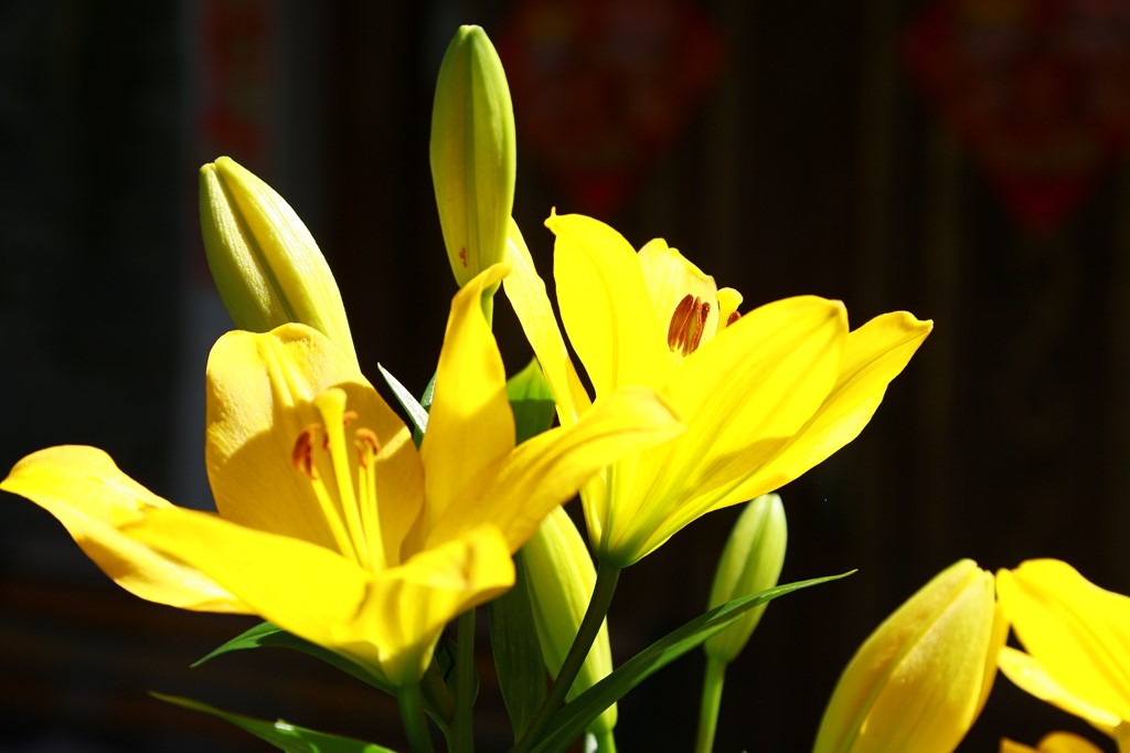 L_JY0904.JPG