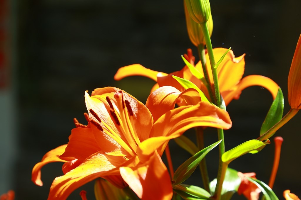 L_JY0907.JPG