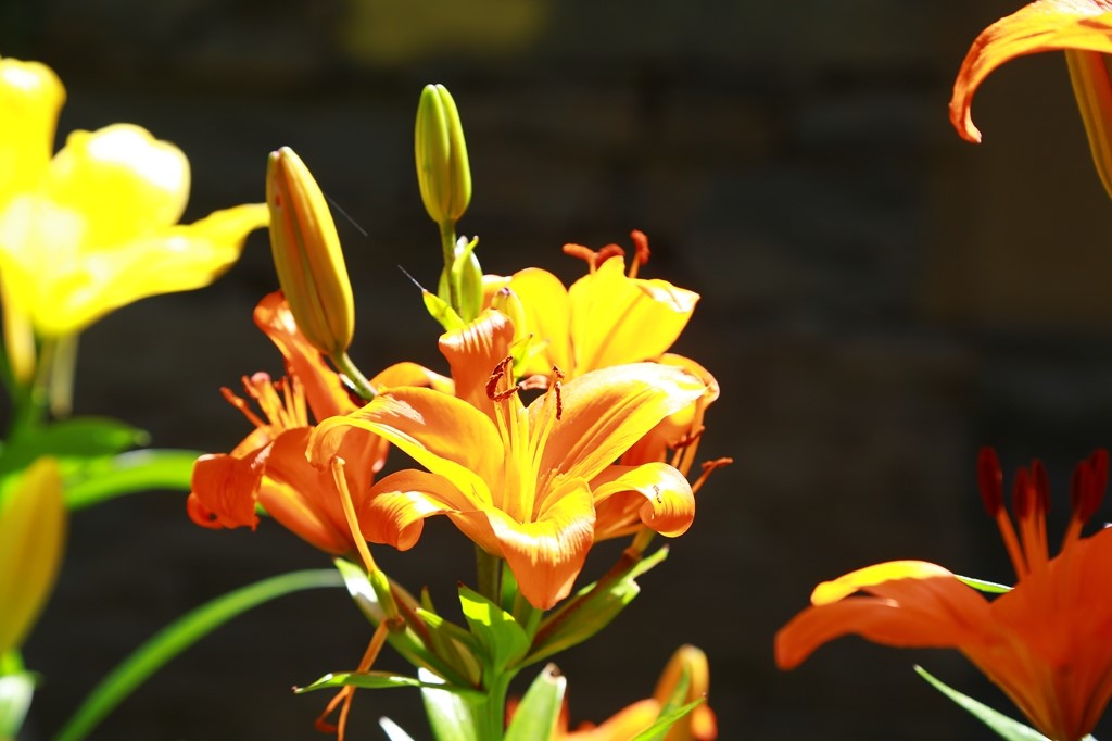 L_JY0906.JPG