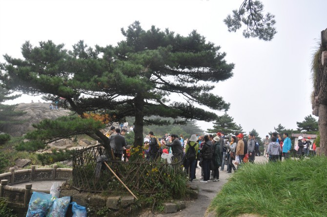 ΢��ͼƬ_20260711140001_5260_486.png