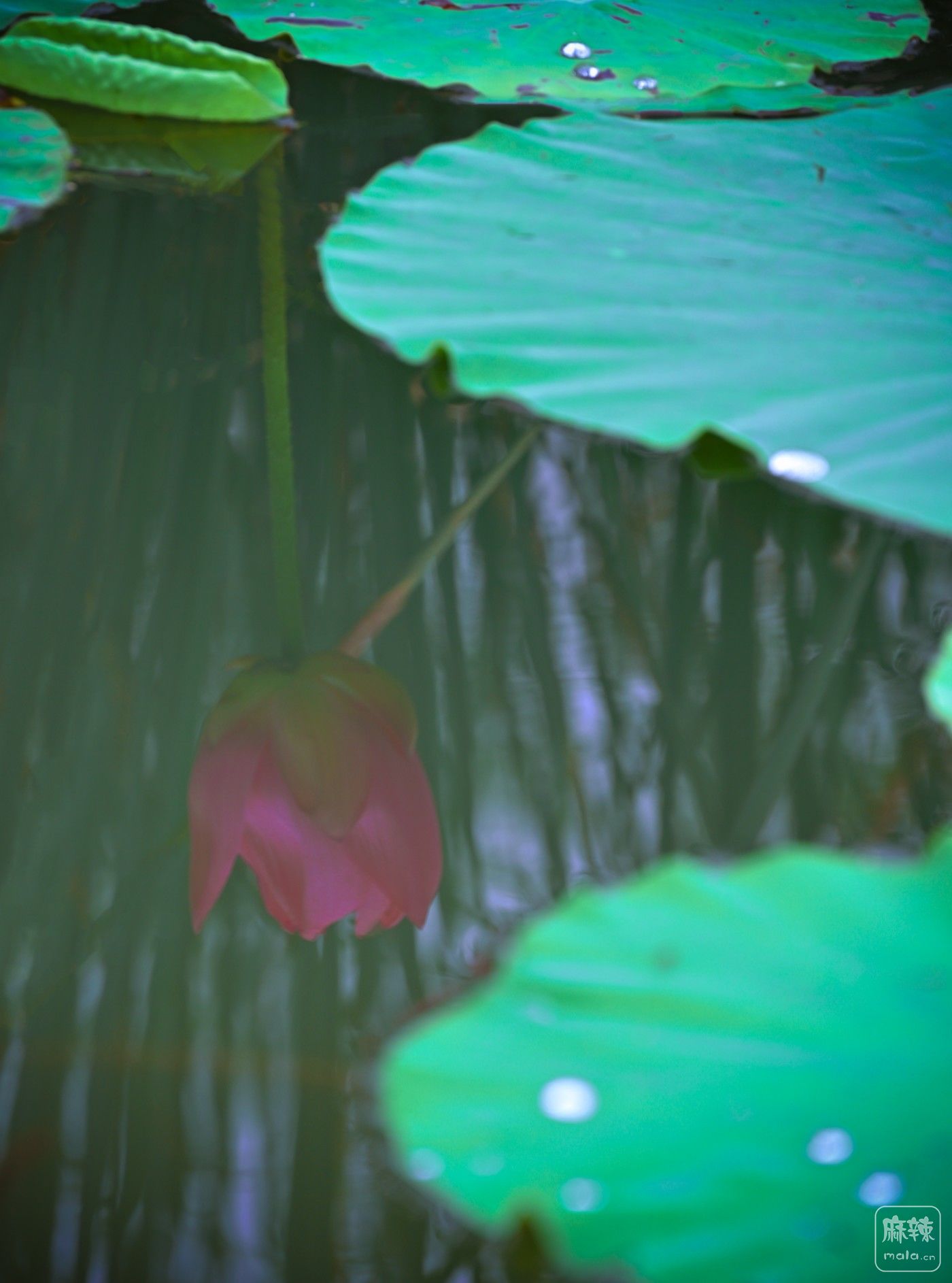 DSC_3477.JPG