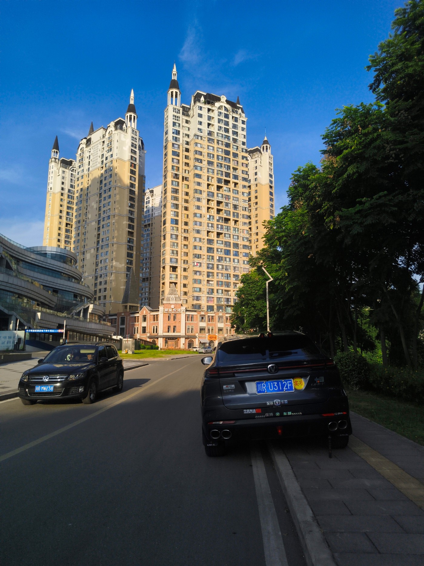 IMG_20260710_183651.jpg