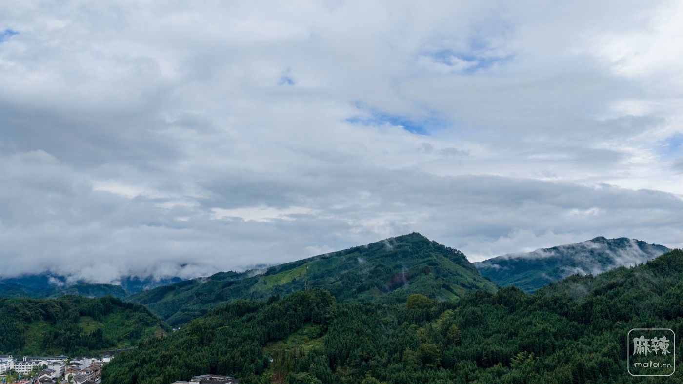 DJI_20260711151002_0007_D.jpg