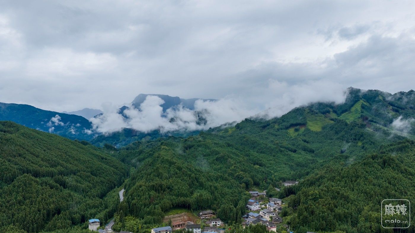 DJI_20260711150952_0005_D.jpg