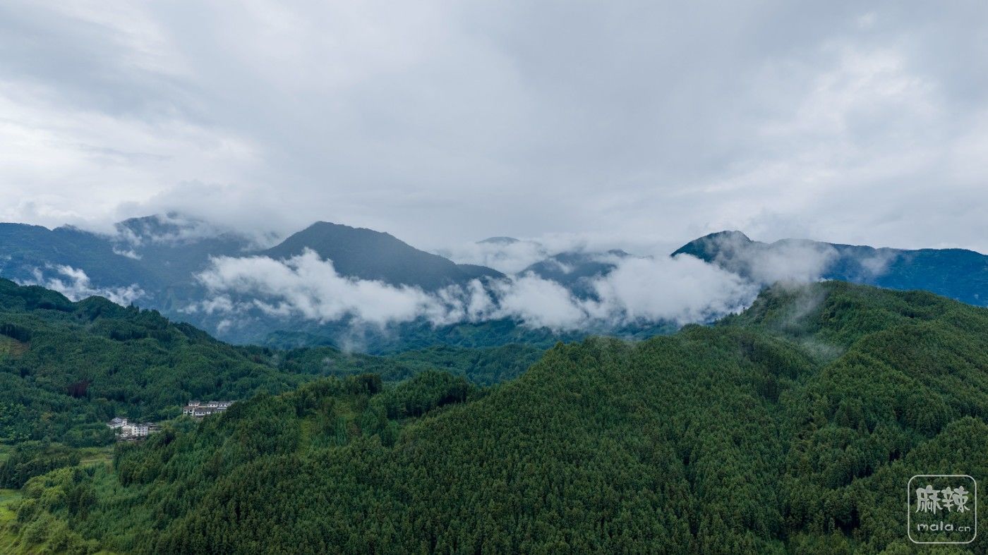 DJI_20260711150955_0006_D.jpg