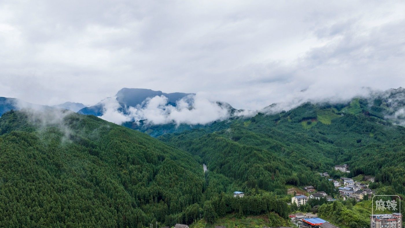 DJI_20260711151247_0016_D.jpg