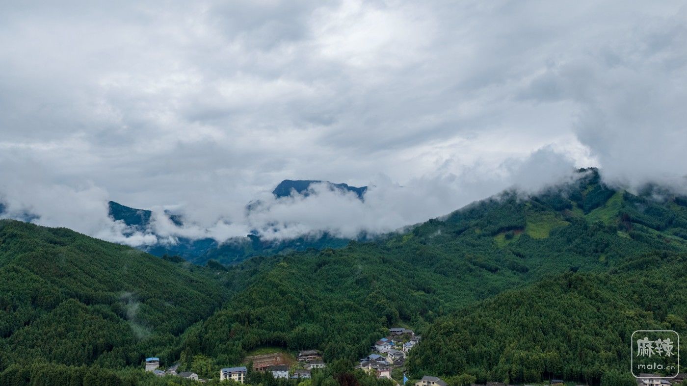 DJI_20260711152116_0019_D.jpg