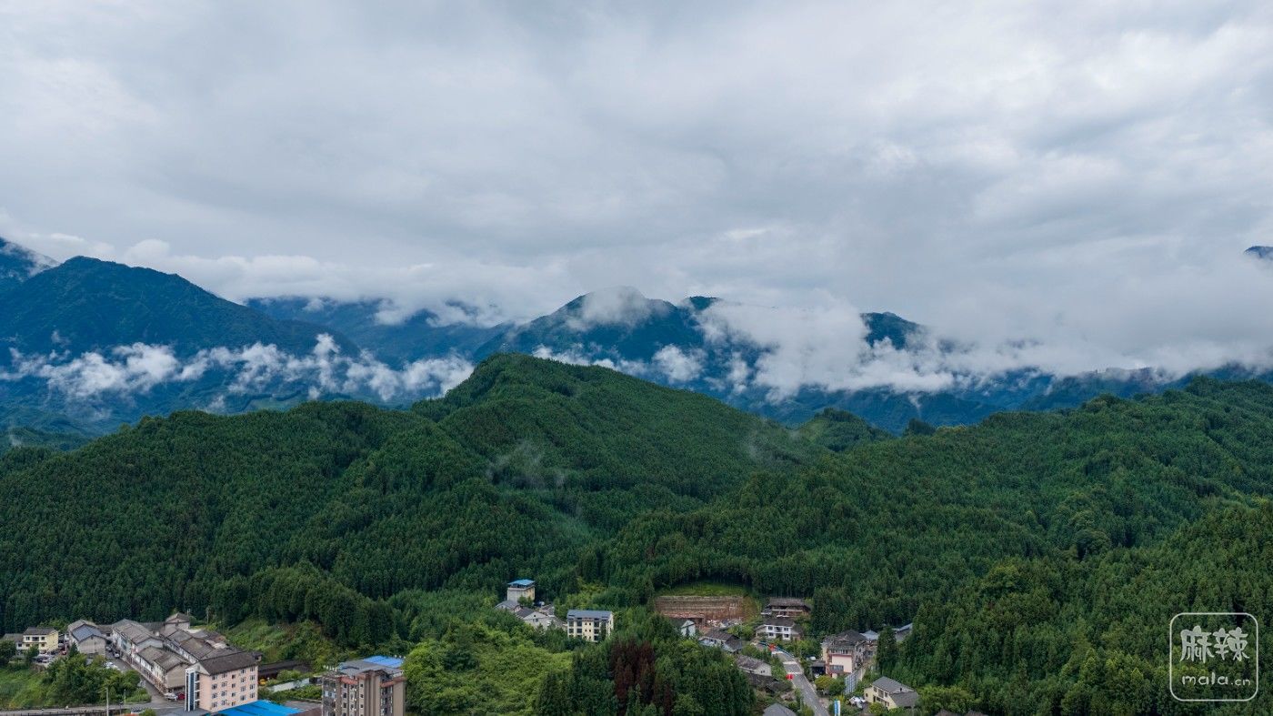 DJI_20260711152226_0022_D.jpg