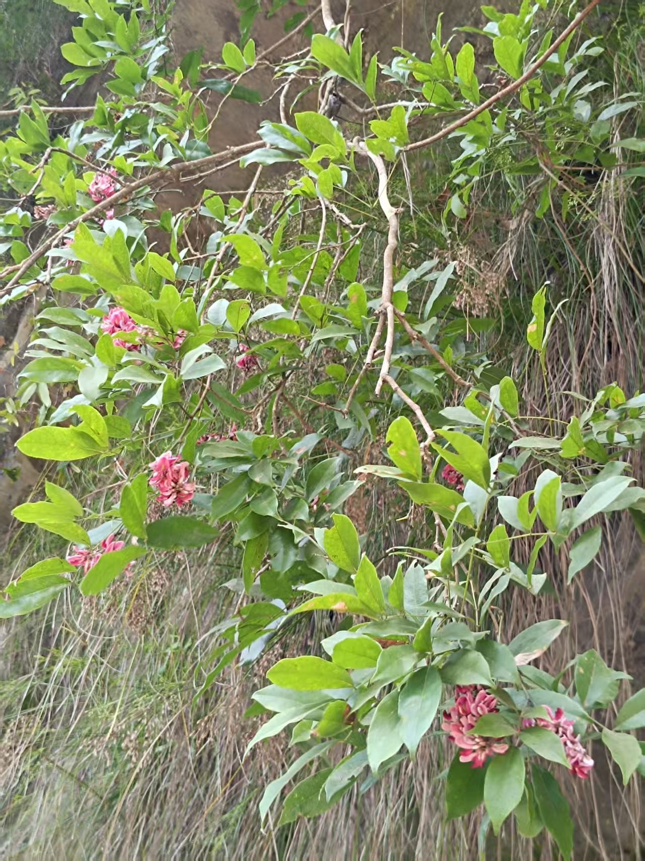 ΢��ͼƬ_20260713100200_6_869.jpg
