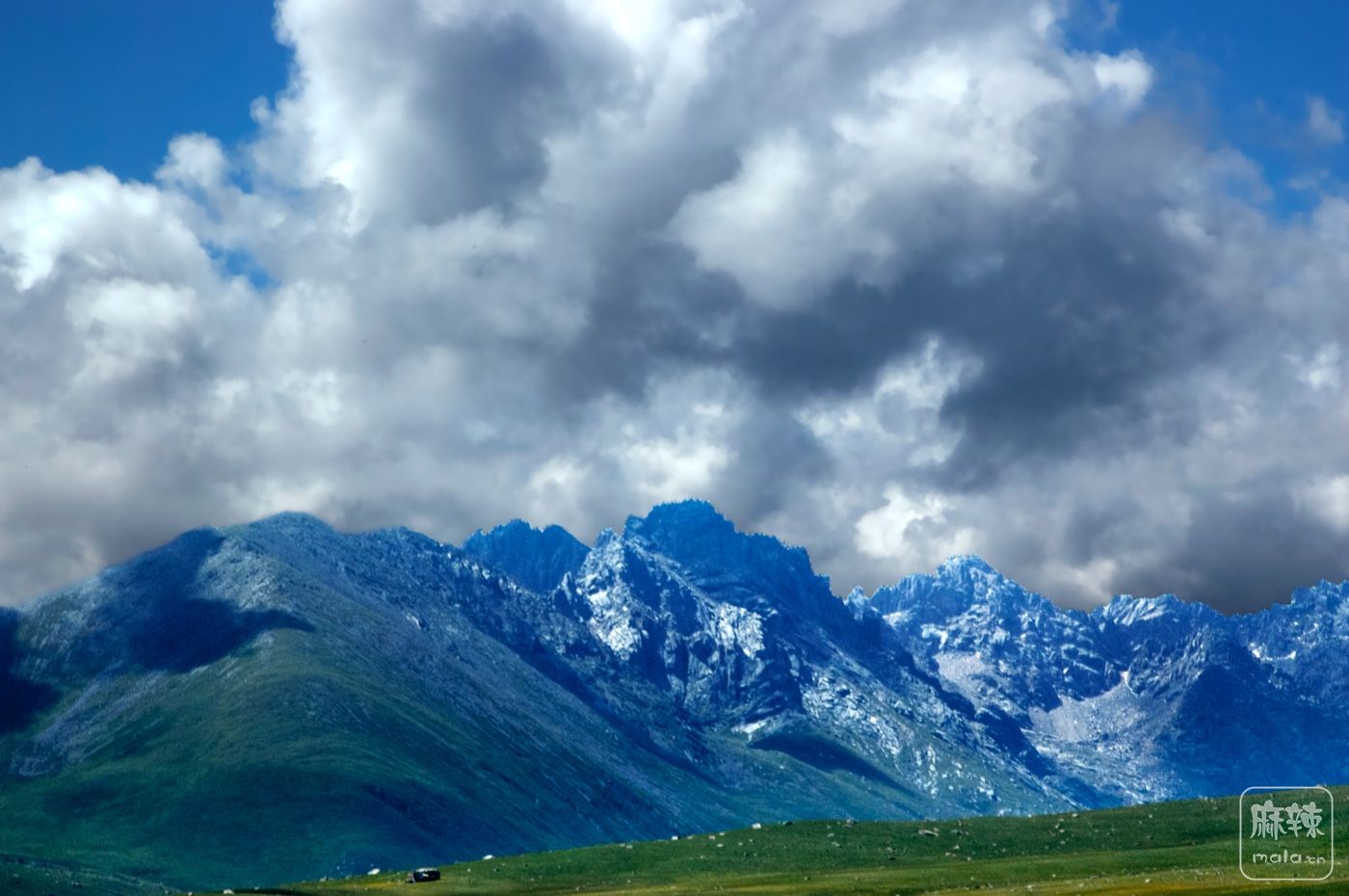 DSC_0844.jpg