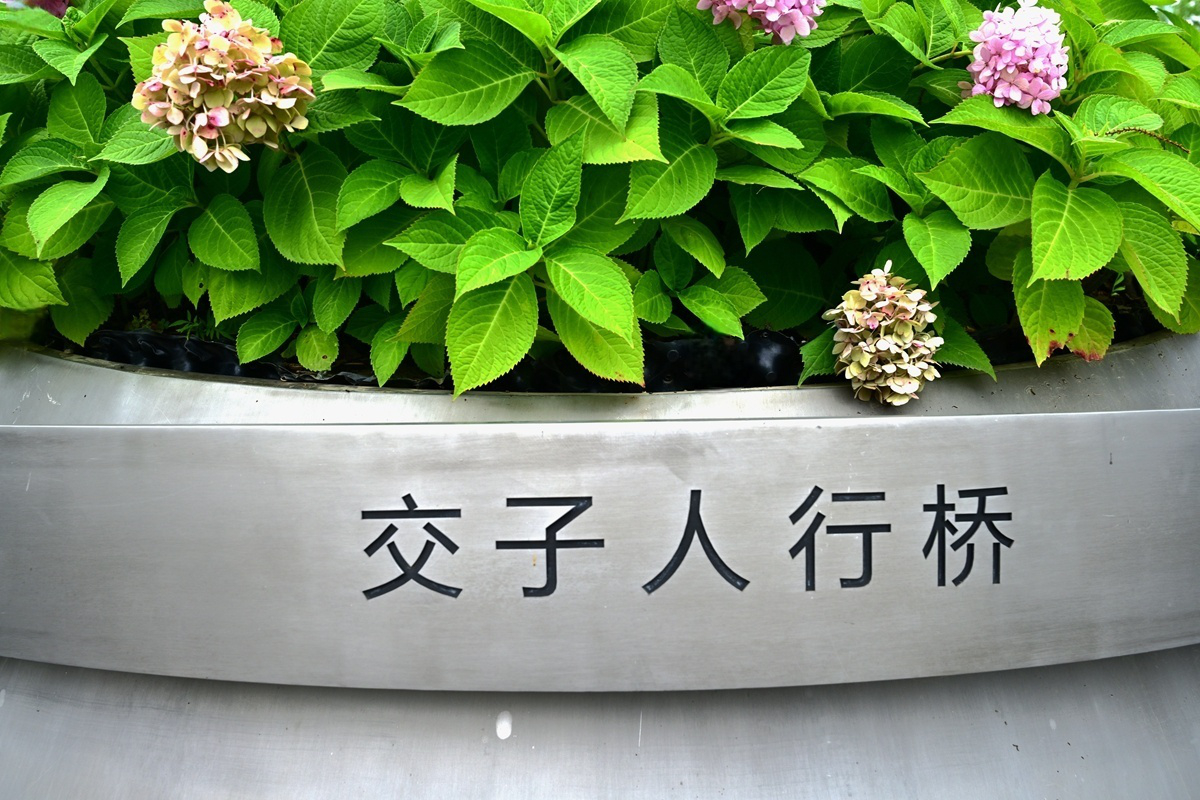 DSC_5044_����.jpg