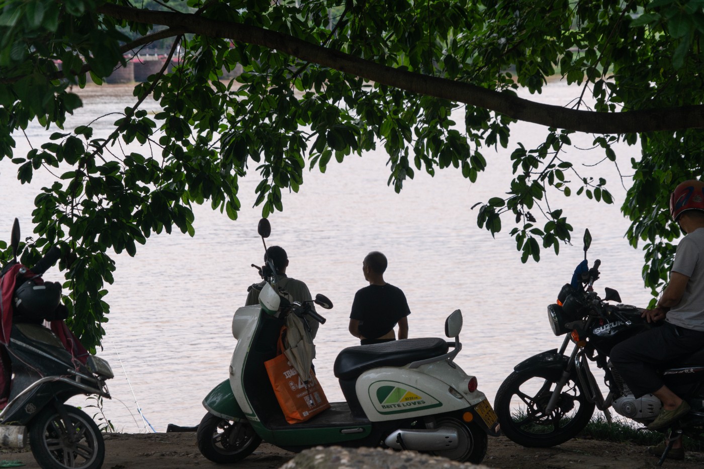 DSC02101.jpg