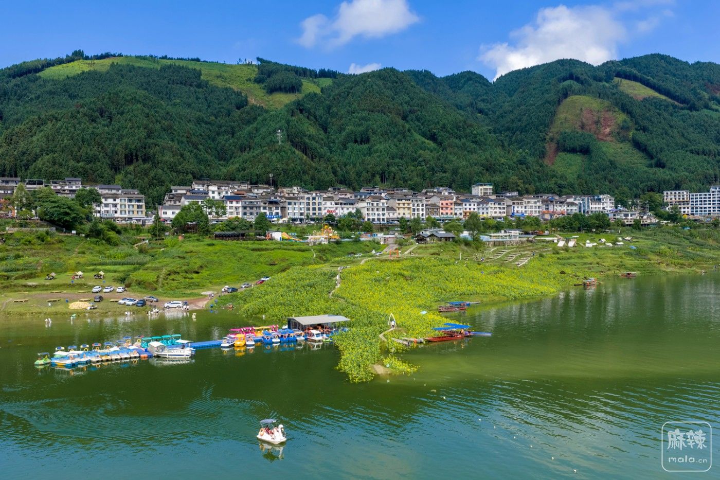 DJI_20260712155842_0080_D.jpg