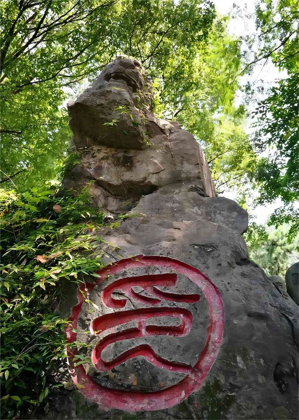 5B.jpg