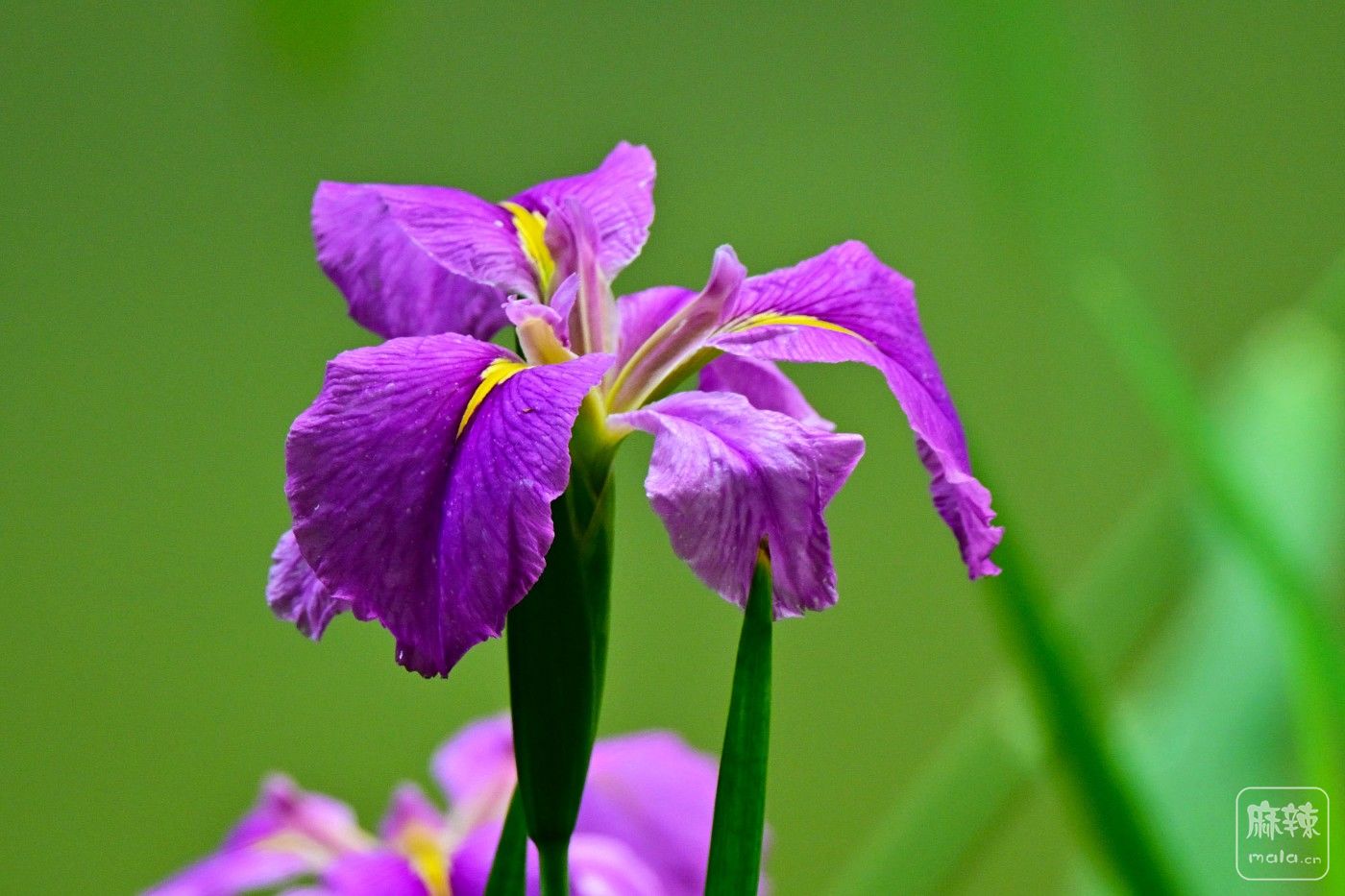 DSC_9108.JPG
