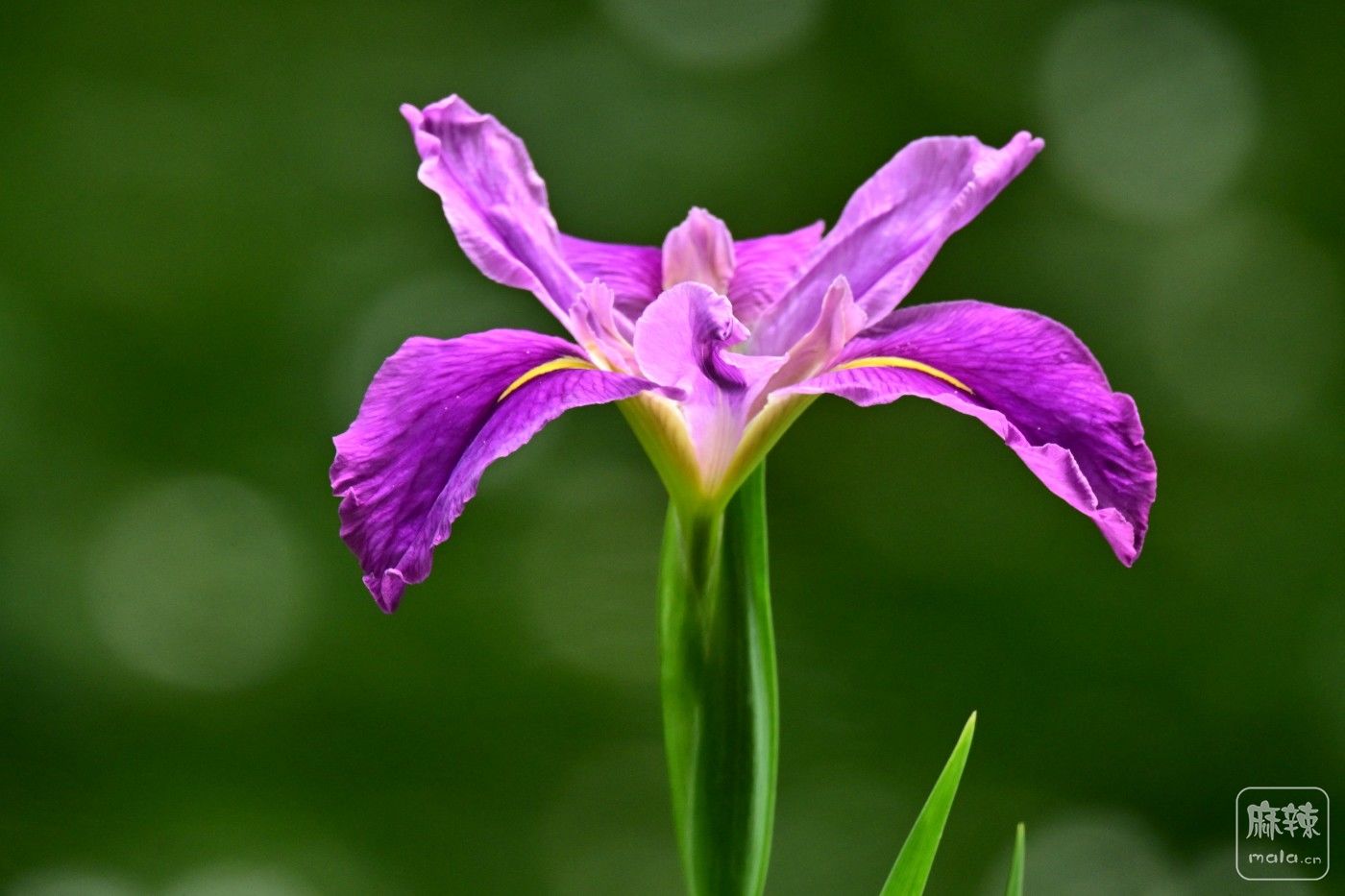 DSC_9120.JPG
