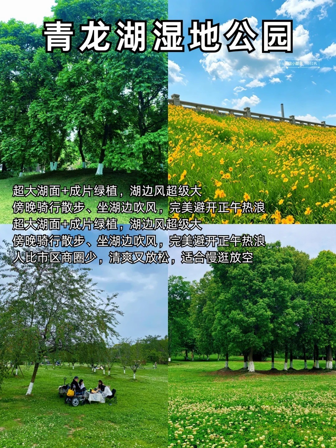 �ɶ�9�����������_����������ܾ���_3_�޵�СĢ��_����С������ҳ��.jpg