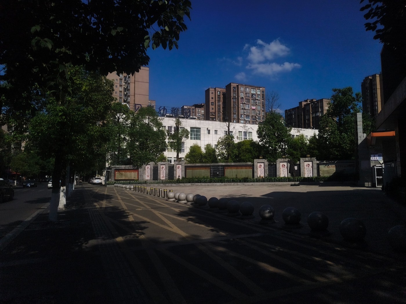 IMG_20260714_165935.jpg