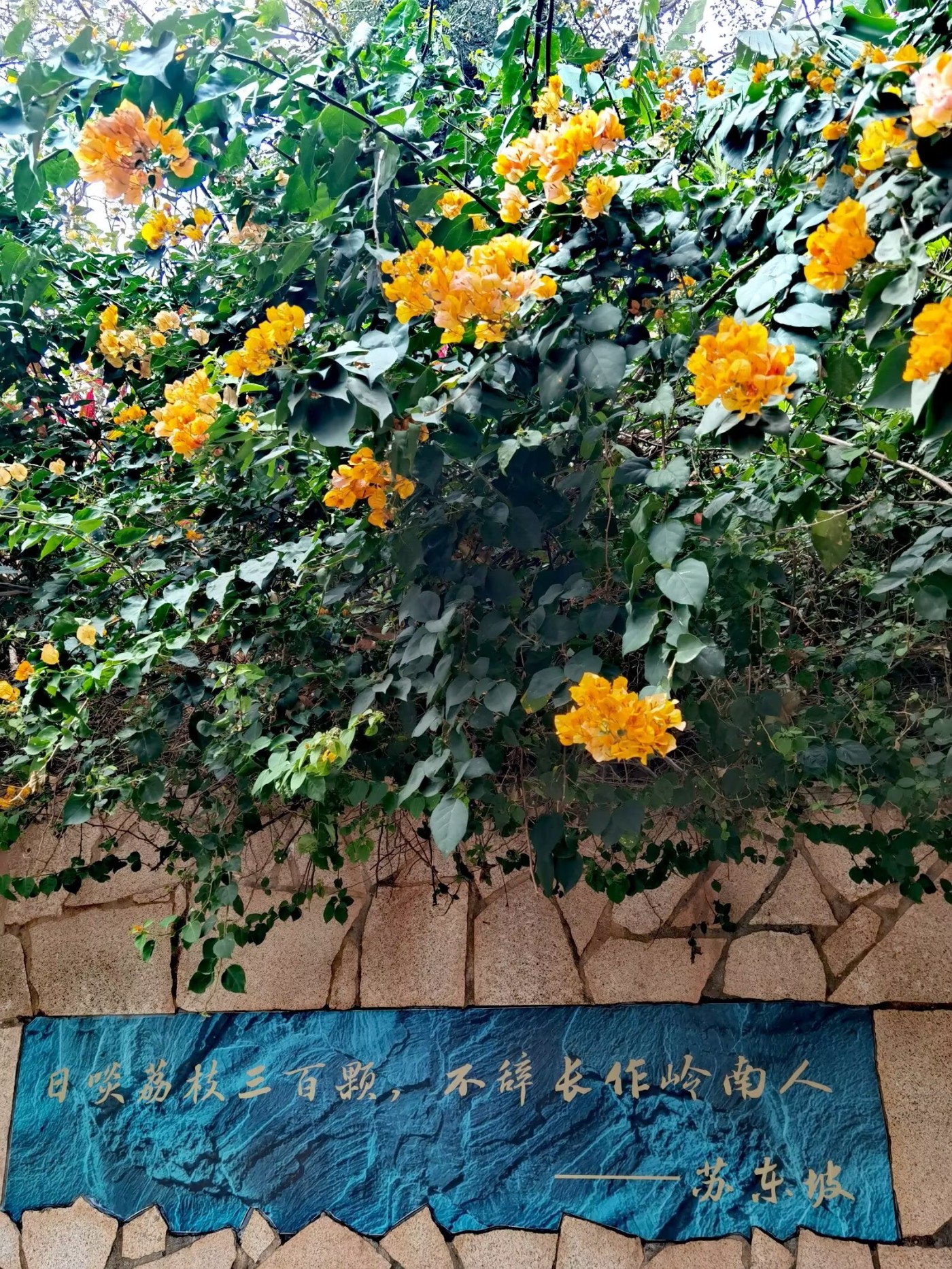 psc (39).jpg