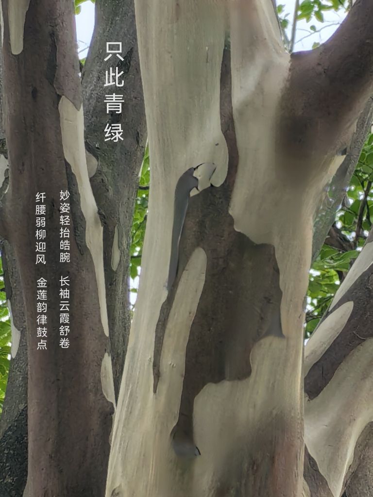 20260717061430front2_0_6080161_FgDIKiZOhKPfzULyLAUHT4x6VzAB.jpg