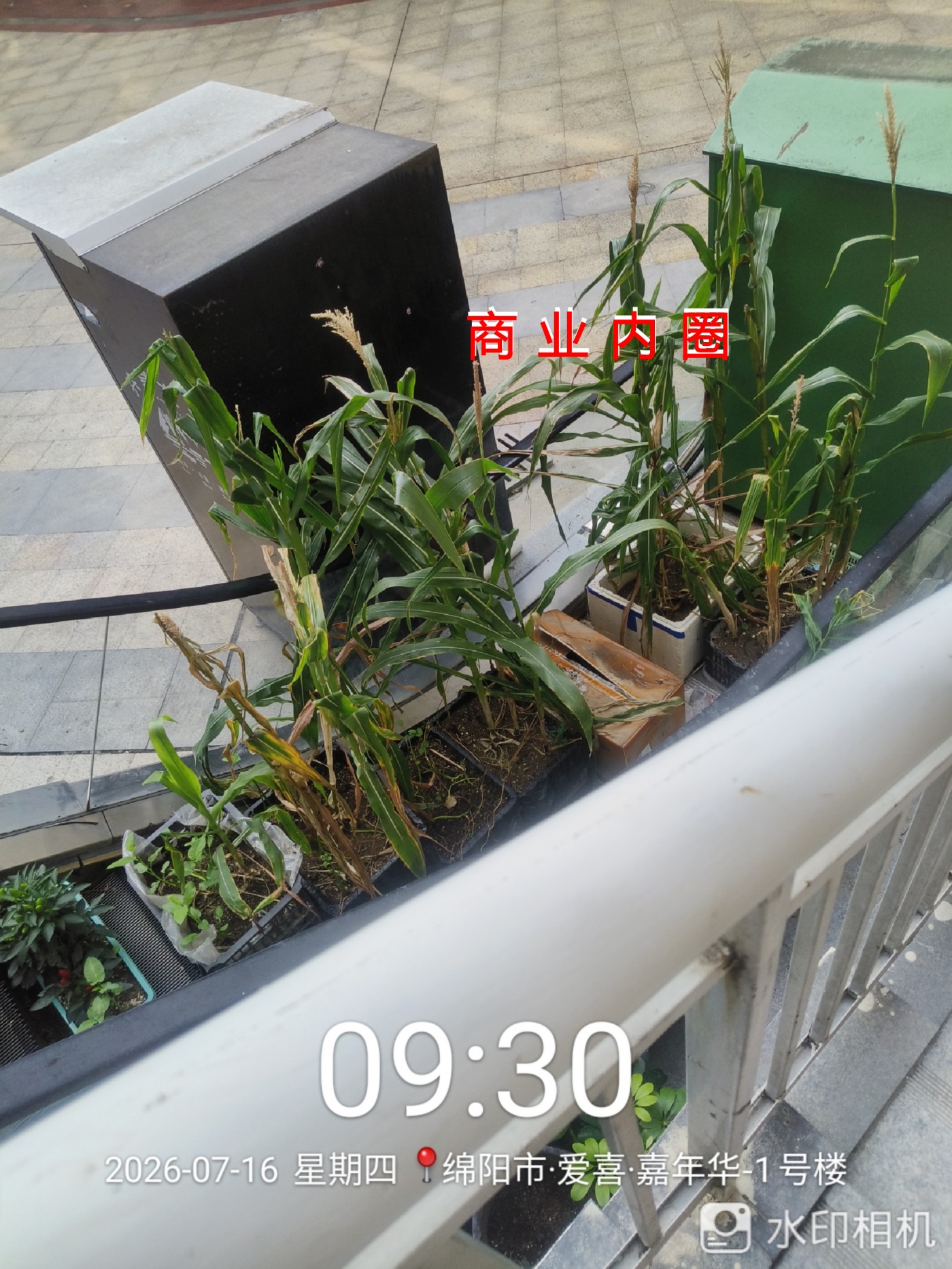 ΢��ͼƬ_20260717124210_�ϲ�_1.jpg