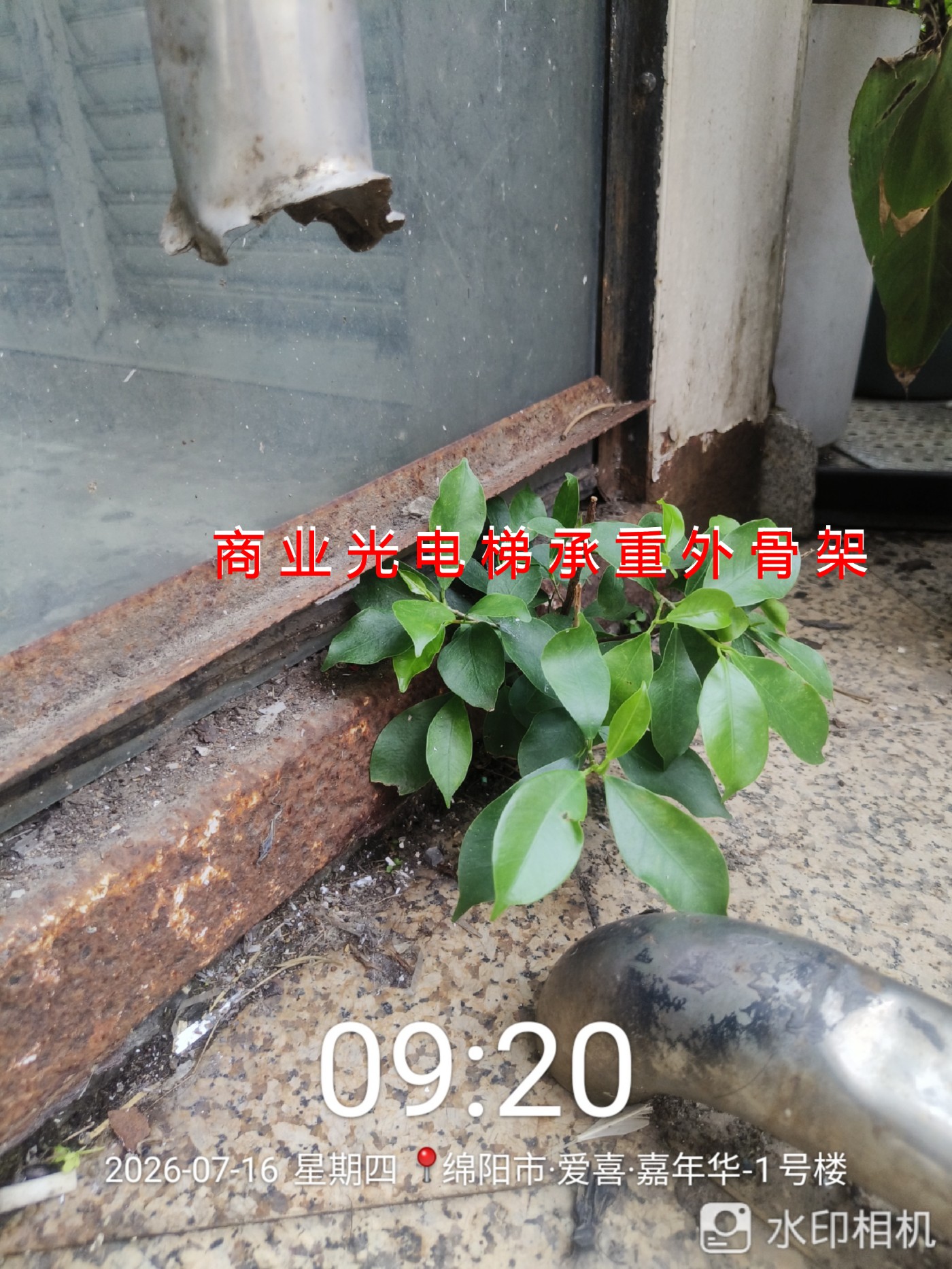 ΢��ͼƬ_20260717124210_�ϲ�_20.jpg