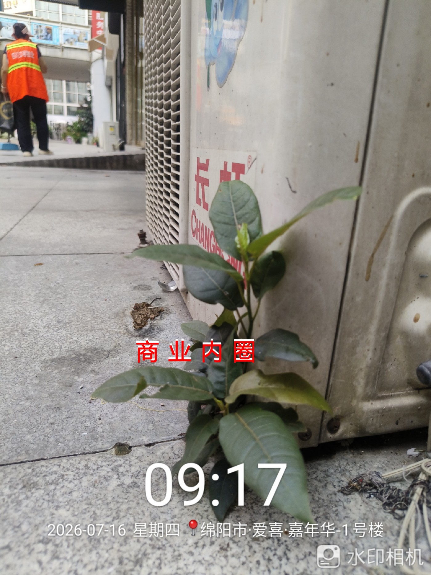΢��ͼƬ_20260717124210_�ϲ�_21.jpg