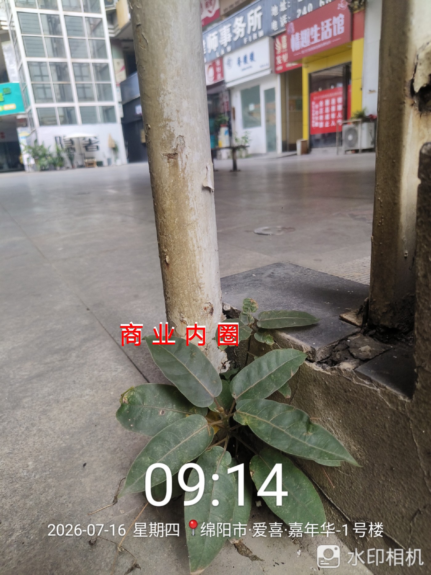 ΢��ͼƬ_20260717124210_�ϲ�_25.jpg