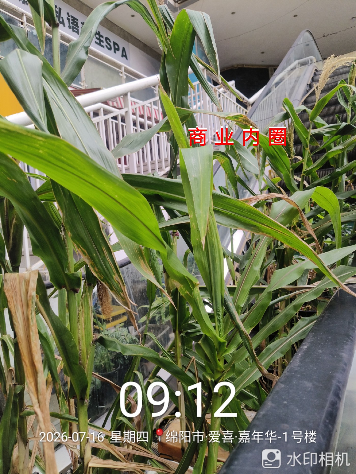 ΢��ͼƬ_20260717124210_�ϲ�_26.jpg