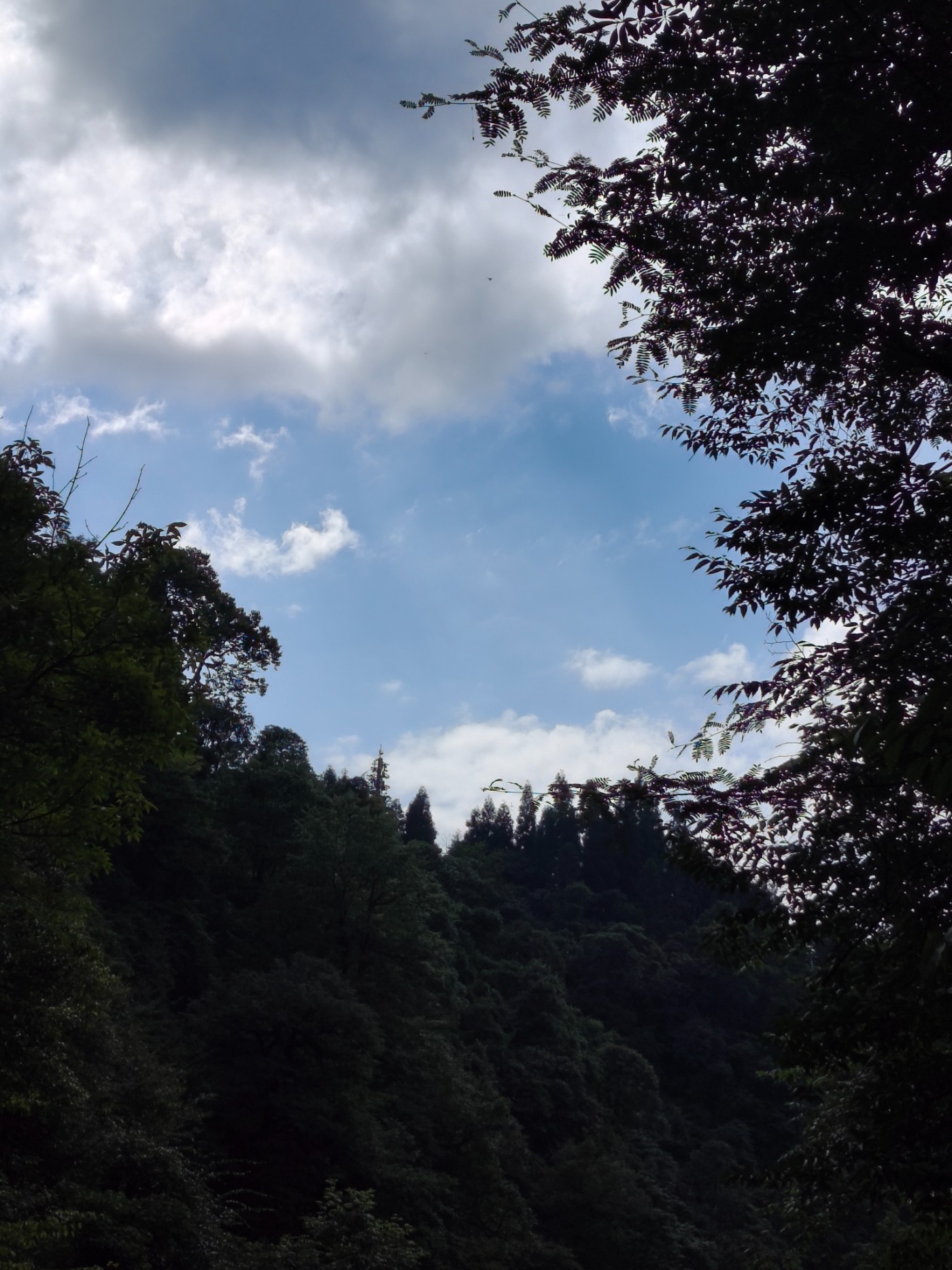 ΢��ͼƬ_20260715135041_116_39.jpg