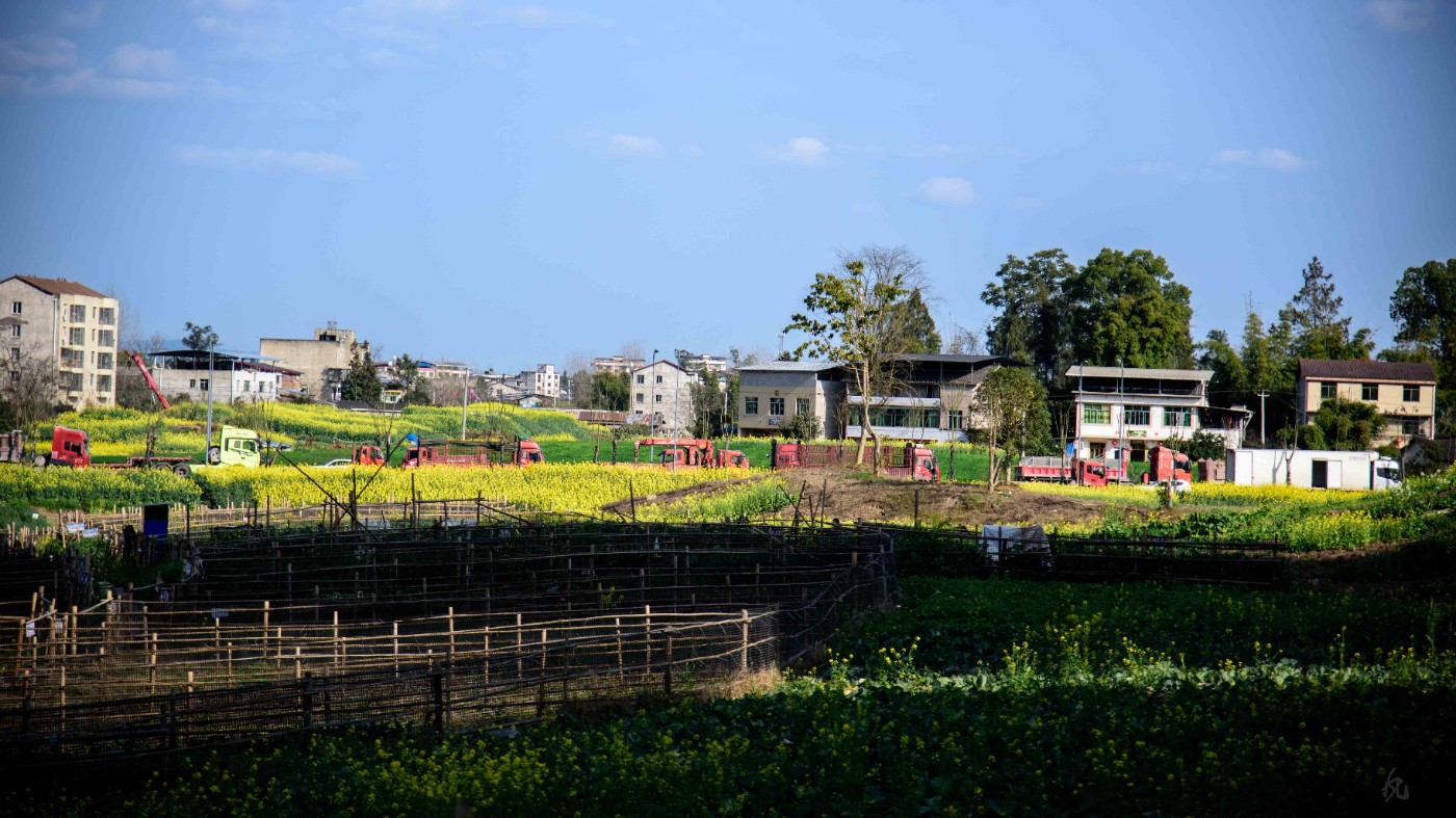 DSC_9177.jpg