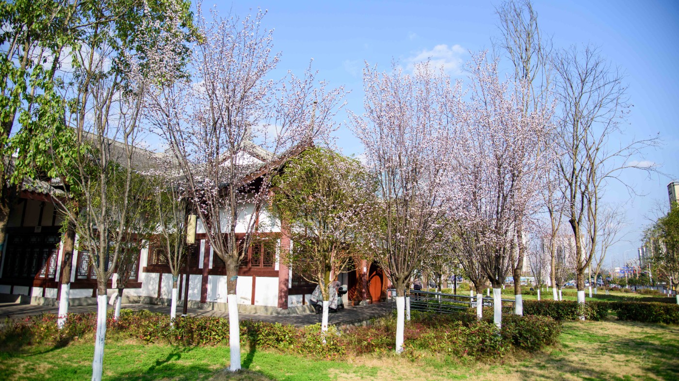 DSC_9227.jpg