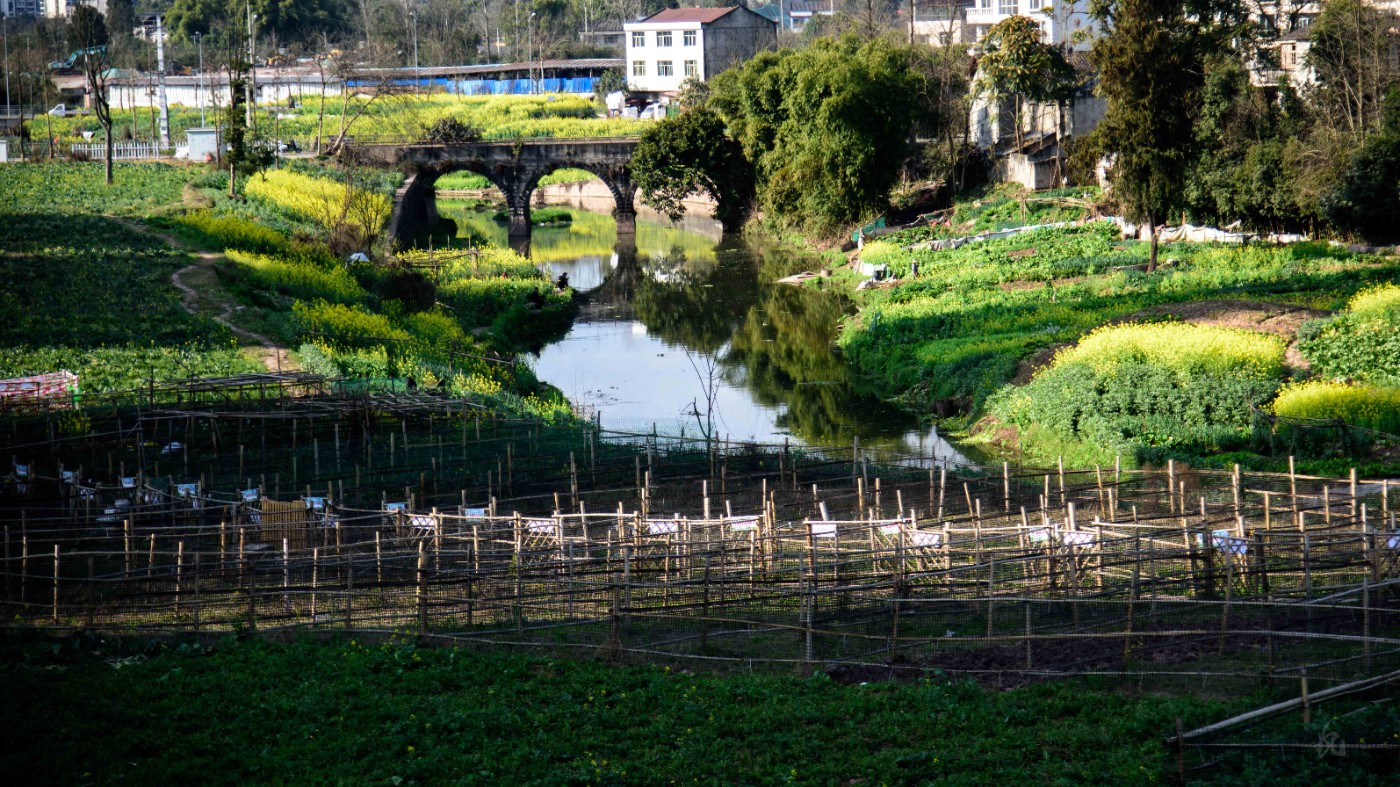 DSC_9191.jpg