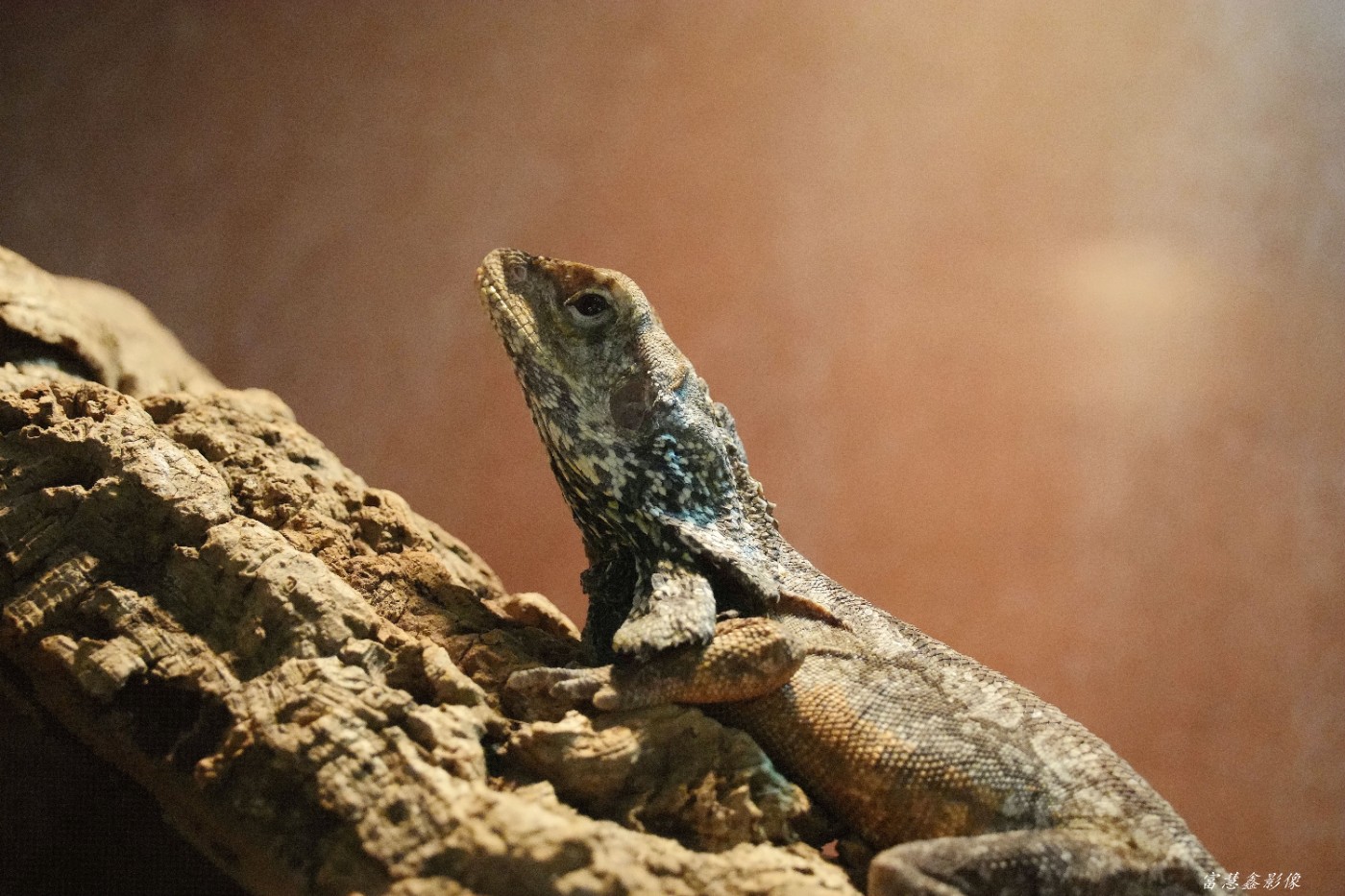 DSC00059_����.jpg