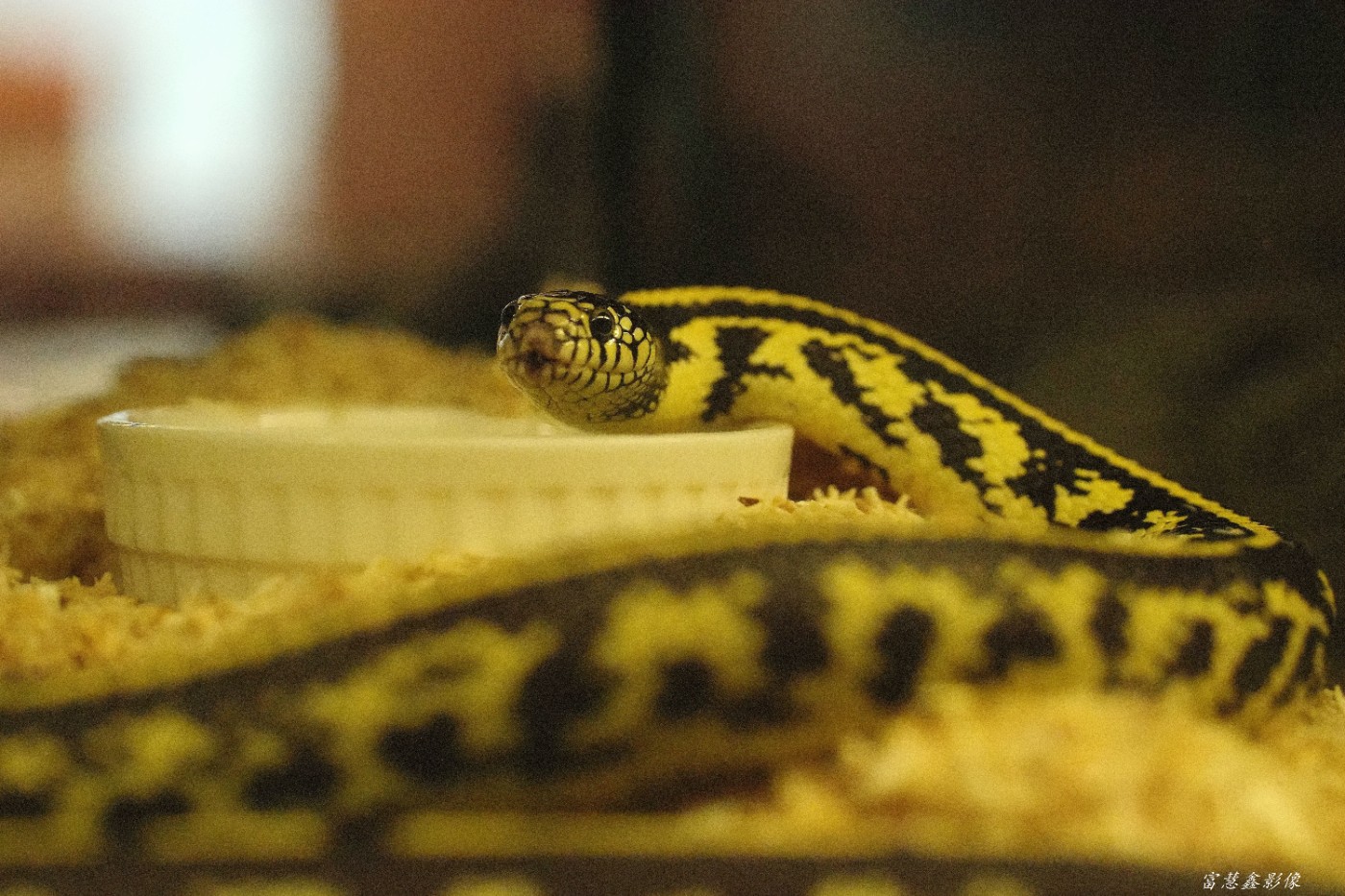DSC09994_����.jpg