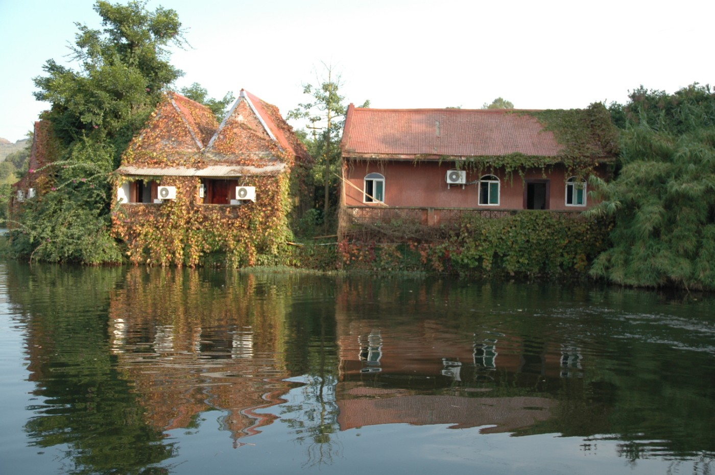 200811121013155375.jpg